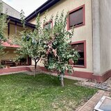 Popesti Leordeni, str. Amurgului